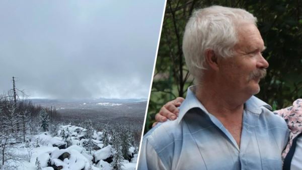 «Никаких следов»: шесть лет назад грибник бесследно исчез в той же местности, что и Усольцевы