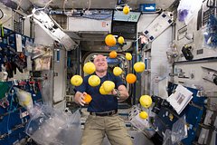 «Как он вообще выжил?» Американец провел на орбите целый год. Последствия полета ужаснули ученых: космос изменил его тело и ДНК