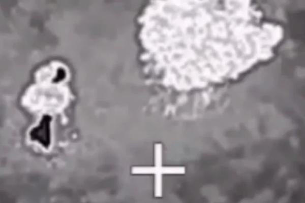 Новости СВО за 28 октября. Макрон решил вступить в войну с Россией