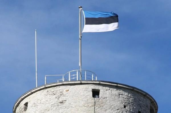 Эстония осудила решение Латвии выйти из конвенции о защите женщин