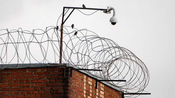 Главе «Сиэми» Синьговскому дали четыре года за хищения в Курской области