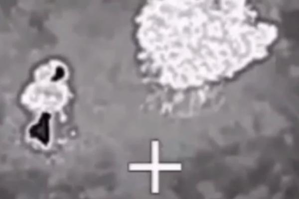 Сводка СВО, утро 2 ноября. ВСУ расстреливают мирных жителей в Константиновке